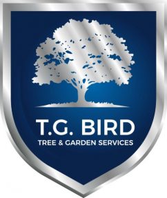 Tom Bird Logo